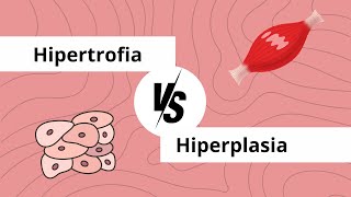 Hipertrofia no es igual que hiperplasia [upl. by Christos]