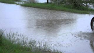 Bike passes through flooded road in Sonkhaliya [upl. by Asina]