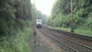 Buzzard almost hits a Locomotivetrain [upl. by Ekul]