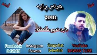 Hunar Ranya جارێ نەبوو دڵتەنگی jare nabw dlltangi  2018 new [upl. by Aciemaj103]