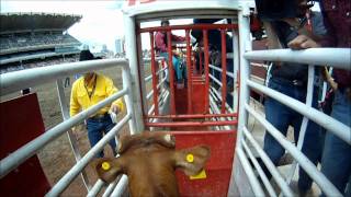 Nolan Jans Steer Ride at the Calgary Stampede 2011 [upl. by Alyac]