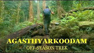 Agasthyarkoodam Trekking  Agastya Mala  അഗസ്‌ത്യാർകൂടം [upl. by Evelc]