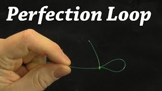 How to Tie a Perfection Loop Knot  Fishing Knot [upl. by Gefen]