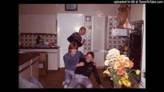 THE DINNER LADIES Muscle in the Bud 1988 UK only Indie Pop [upl. by Drue]