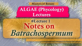 Lecture 1  Batrachospermum Life Cycle Rhodophyceae  Algae Phycology Lecture  Notes [upl. by Ballinger]