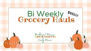 Bi Weekly Grocery Shopping  Hauls [upl. by Otreblasiul]