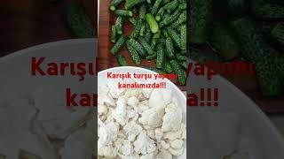 Karışık turşu tarifi kanalımızda shorts turşu keşfet [upl. by Lyndy]