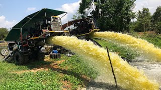 Running 2 Powerful Water Pumps 14 Inches for Irrigation Powered by Diesel Engines in Thailand [upl. by Hochman]