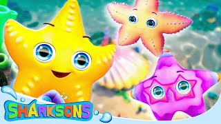 Twinkle Twinkle Little Star 2  The Sharksons  Songs for Kids  Nursery Rhymes amp Kids Songs [upl. by Haraj]