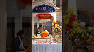 Gurdwara Shri Ber Sahib Sultanpur Lodhi gurbani viralvideo shorts shortsviral newshabad shabad [upl. by Jeffery169]