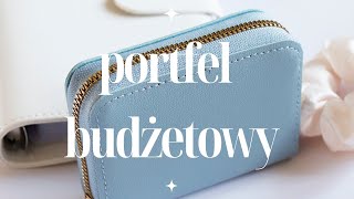 PORTFEL BUDŻETOWY  Przenoszę swój budżet do portfela [upl. by Atinoj]