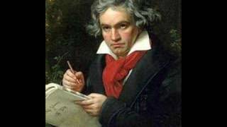 Beethoven 5th Symphony 1st movement Allegro Con Brío [upl. by Seaver]