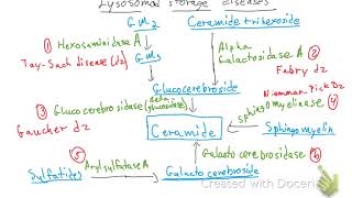 Lysosomal Storage Diseases [upl. by Iraam738]