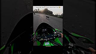 RajaDc77 Hyper Ride Gone Dog Attack😱 shorts bike rider hyperride kawasaki zx10r dog [upl. by Ilenna366]