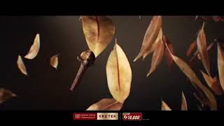 Iklan Rokok Gudang Garam International Kretek  Rasa Legendaris Tanpa Filter Versi TVC 2024 [upl. by Zolner298]