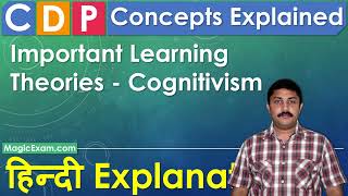 Important Learning Theories  Cognitivism  CDP Concepts  हिन्दी Explanation [upl. by Katie]