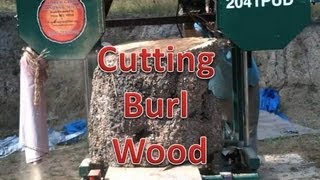 Cutting Massive Burl On The Mill [upl. by Studdard]