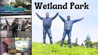 Healthey Life Starting From Wetland  Wetland Park Mini VlogచైనాలోteluguAmmayiVlogs [upl. by Polak]