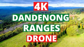 DANDENONG RANGES AUSTRALIA By DRONE 4K Video  Top ATTRACTIONS And LANDMARKS  MUST WATCH [upl. by Akinar943]