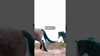 3 MINDBLOWING HORSE FACTS horse animals [upl. by Olag]