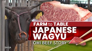 Japanese Wagyu Farm to Table  Omi Beef Story ★ ONLY in JAPAN [upl. by Postman682]