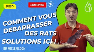 Comment vous débarrasser des rats [upl. by Winser]