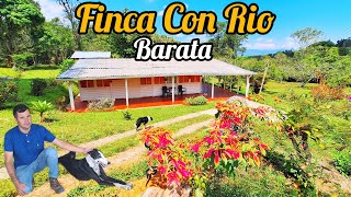 REF206 PEDROPARRA Finca Plana Con Rio Barata De 10000 Mts Cerca Cali Campo Ventas [upl. by Nitsir]