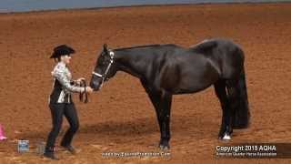 A Judges Perspective 2015 AQHYA Showmanship World Champion [upl. by Katherine656]