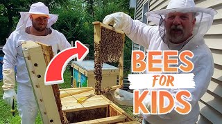 How do Bees Make Honey 🐝  Take a Look Inside a Beehive [upl. by Akienom501]