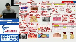 REPASO TEÓRICO  NEONATOLOGÍA [upl. by Klapp]