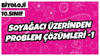 10 Sınıf Biyoloji  Soyağacı Üzerinden Problem Çözümleri 1 [upl. by Ramsa]