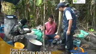 Capturan a dos narcotraficantes en plena fabricación de droga en Tingo María [upl. by Coates]