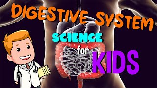 Digestive System  Science for Kids [upl. by Ahsoek]