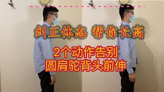 ｛纠正体态｜帮你长高｝2个动作告别圆肩驼背头前伸｜悉尼脊医 [upl. by Akinoj373]