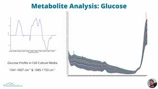 Mammalian Cell Culture  Raman as a Means of Monitoring amp Controlling Upstream Bioprocesses [upl. by Boot]