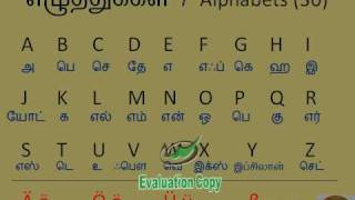 Learn German through Tamil  lesson 1 [upl. by Ortrude561]