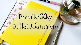 Jak začít bullet journal  Jak na Bullet Journal pro začátečníky [upl. by Aneres]