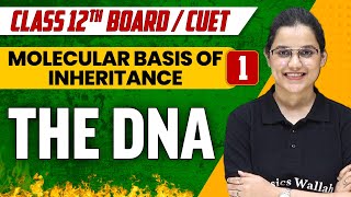 Molecular basis of Inheritance 01  The DNA  Class 12thCUET [upl. by Ahsenyl]