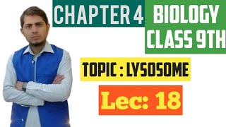 Lysosome Sucide bags  Class 9th Chp 4  Lec 18 [upl. by Vinna736]