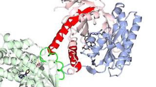 Adenylate cyclase activation with sound [upl. by Payson845]