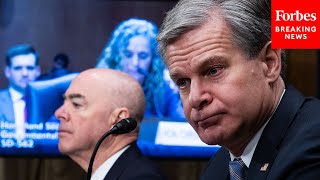 JUST IN Wray Mayorkas Grilled By Senators In Senate Homeland Security Committee Hearing  PART 2 [upl. by Gerrie]