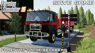 Save Game Final  Forestry on Geiselsberg  Farming Simulator 19 [upl. by Peadar335]