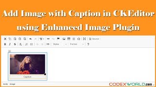 Insert Image with Caption in CKEditor [upl. by Standish]