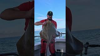 Specimen Blonde Ray fishing 671fishingstuart seafishinguk boatfishing worldboatfishing [upl. by Whittemore]