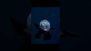 Life under the deep ocean 🪸🌊 its scary 😨 ocean fish ytshorts [upl. by Aley542]