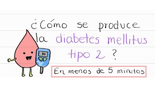 Patogenia de la diabetes mellitus tipo 2  Explicación sencilla [upl. by Lejna]