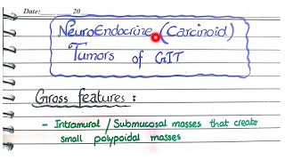 Neuroendocrine Tumors Of GIT  Morphology [upl. by Curhan577]