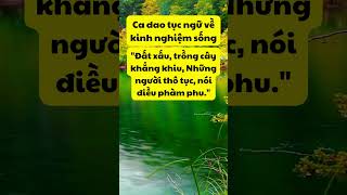 ca dao tục ngữ về kinh nghiệm sống viral trietlycuocsong xuhuong shortvideo ytshorts [upl. by Demah]