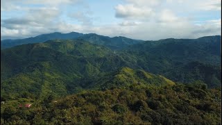 UPPER MARIKINA RIVER BASIN PROTECTED LANDSCAPE [upl. by Norvell]