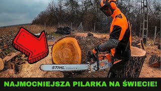 STIHL MS881 czyli NAJMOCNIEJSZA SERYJNA PILARKA NA ŚWIECIE [upl. by Jem]